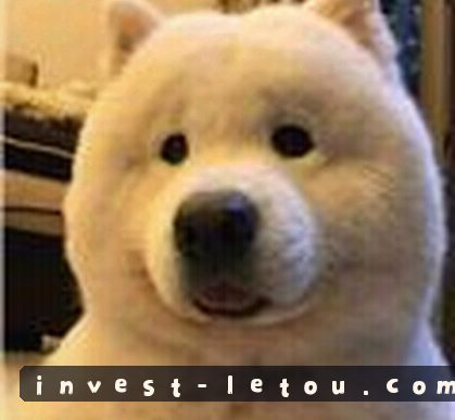 赵先生